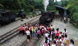 网红黑料在线 抖音网红大鹅,揭秘背后的黑料真相