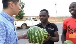 又弄得满手都是什么梗 怀仁网红大瓜最新消息 抖音网红黑料,抖音网红黑料揭秘，怀仁网红大瓜持续发酵