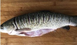 朝阳天空成惊艳 国内吃瓜爆料黑料,揭秘国内娱乐圈黑料风云